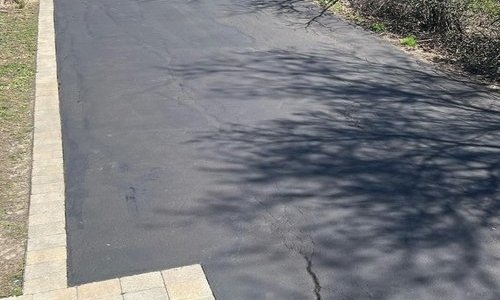 A newly paved asphalt driveway is bordered by a strip of brick pavers on the left side. The shadows of nearby trees are cast on the smooth asphalt surface. Next to the driveway, some green plants are visible in a garden bed.